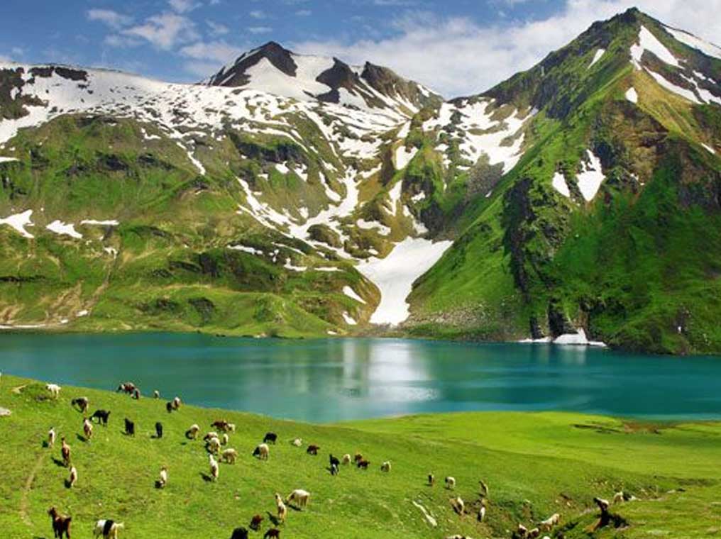 Tours and Travel