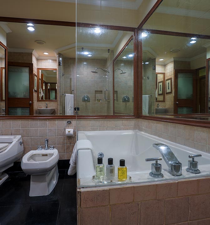 Deluxe Suite image 1