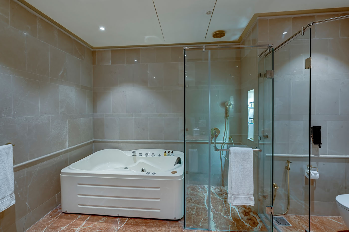 Presidential Penthouse Suite image 1
