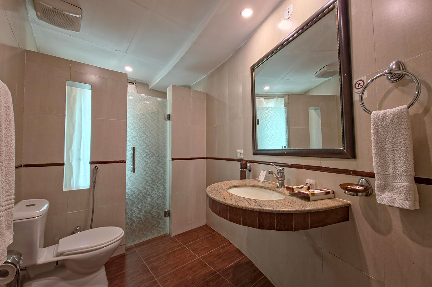 Deluxe Twin Room image 5