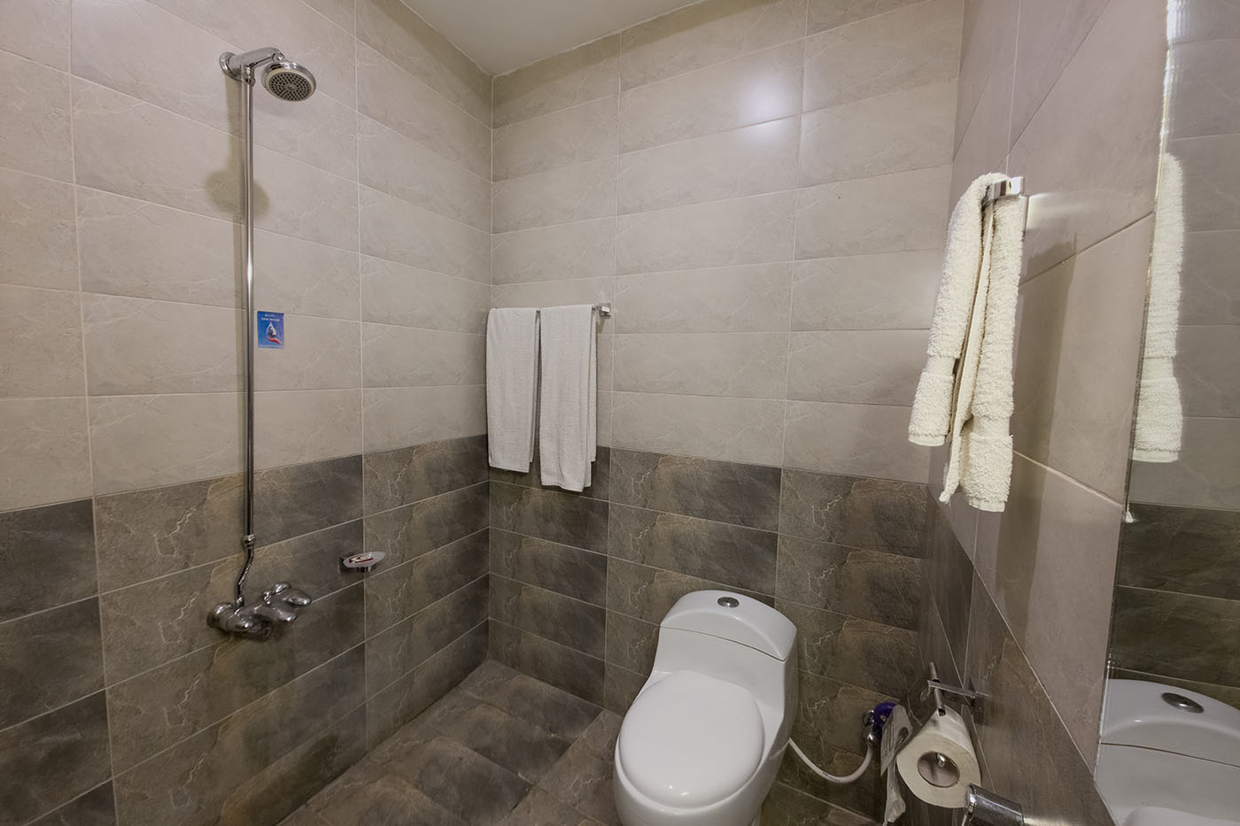 Deluxe Twin Room With Mountain View image 5