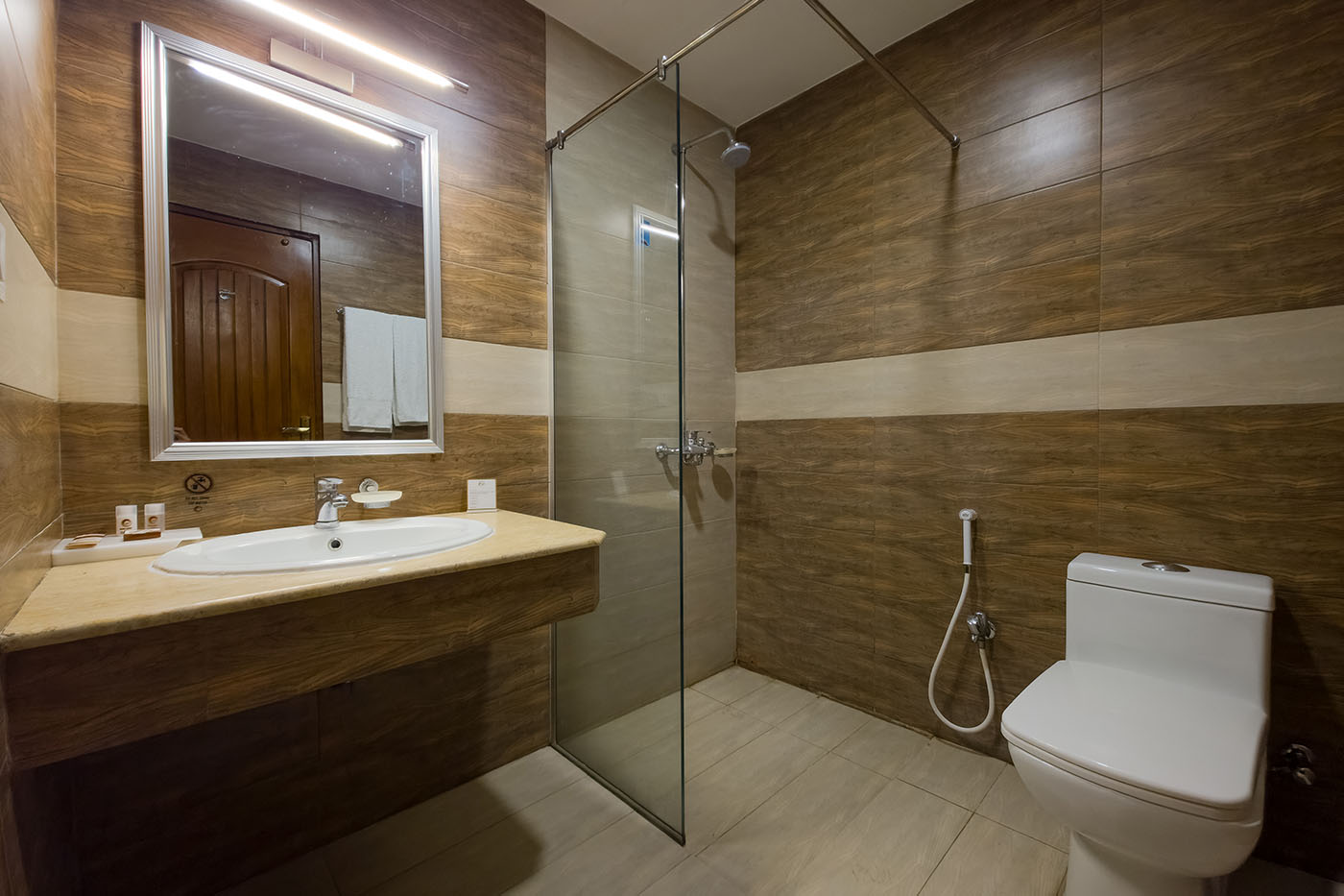 Deluxe Suite image 8