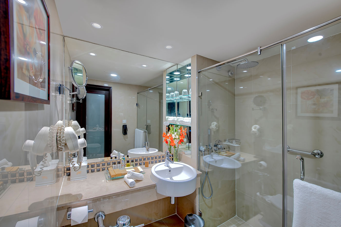 Deluxe Suite image 6