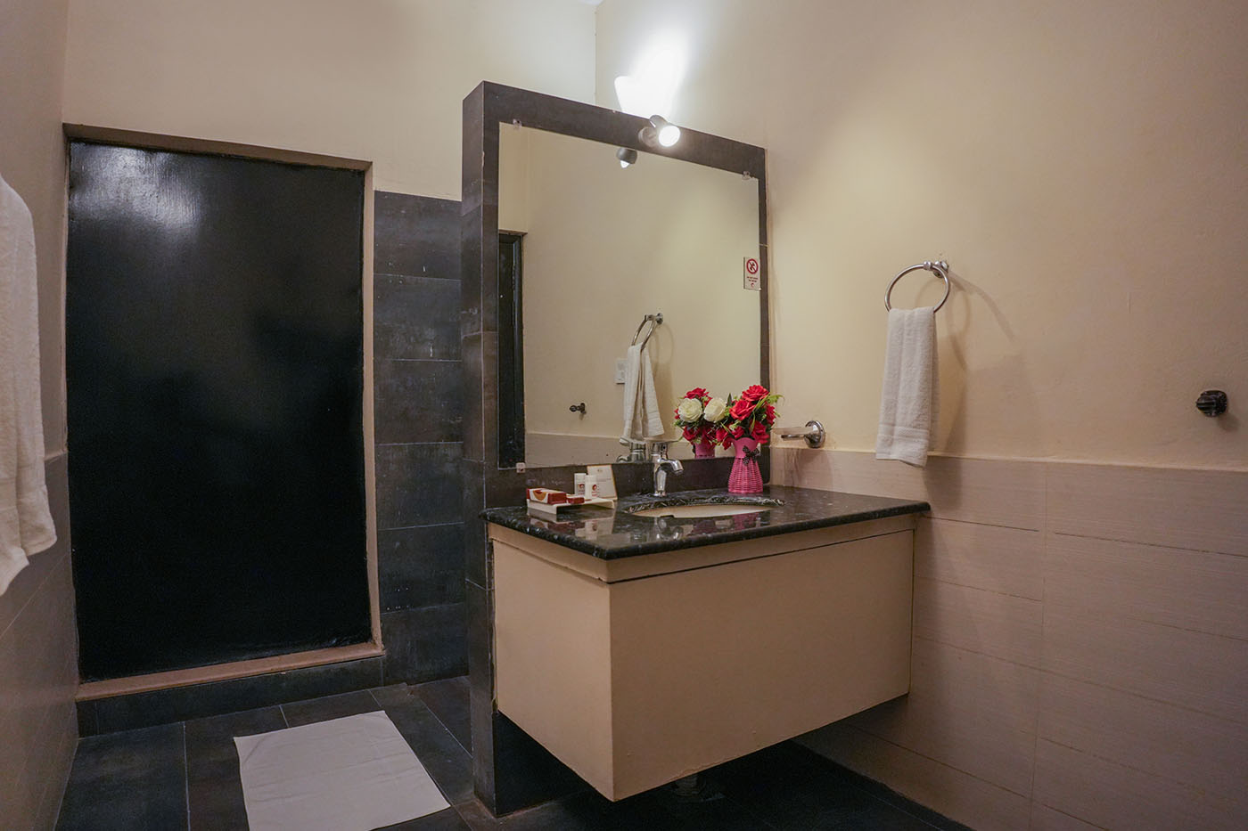 Deluxe Twin Room image 7