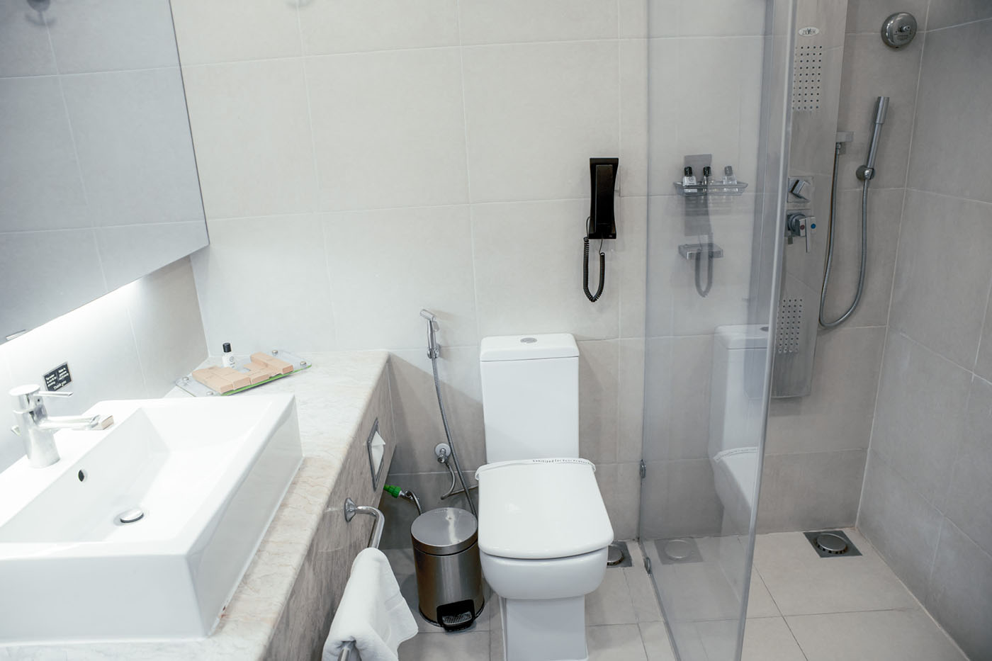 Deluxe Suite image 8