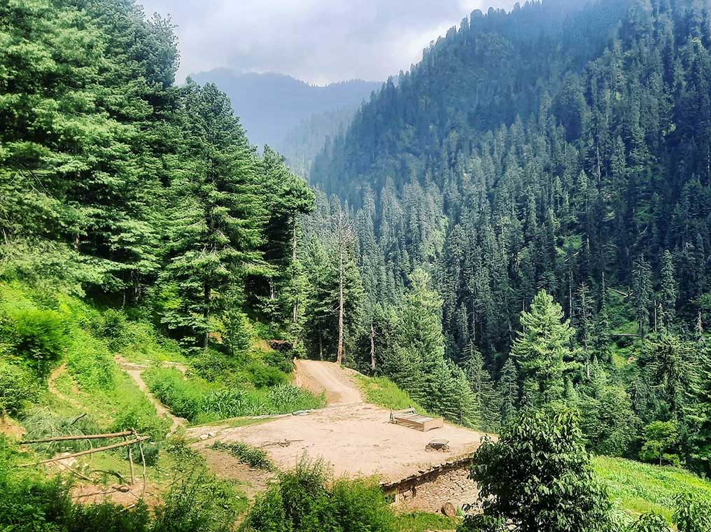 Tours and Travel