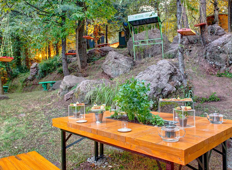 Destination Dining